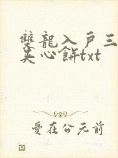 双龙入户三人行夹心饼txt