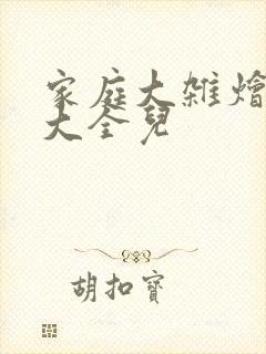 家庭大杂烩小说大全儿