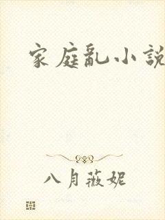 家庭乱小说封面