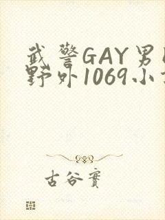 武警GAY男同野外1069小说封面