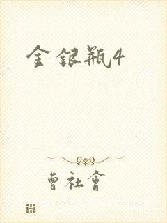 金银瓶4封面
