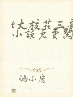 t大校花三部曲小说免费阅读全文封面