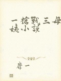 一枪战三母2雪姨小说封面