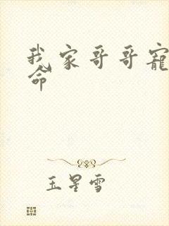 我家哥哥宠妹如命封面