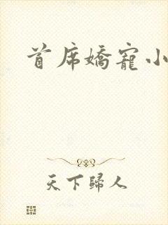 首席娇宠小情人