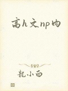高h文np肉
