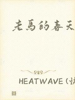 老马的春天敏静