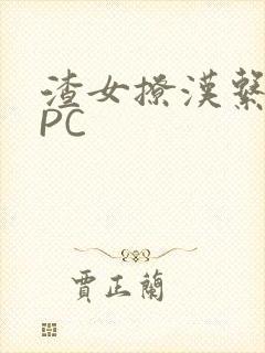 渣女撩汉系统NPC封面