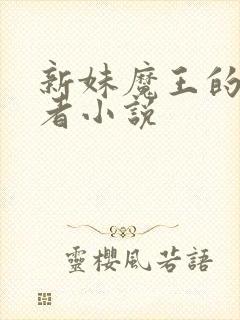 新妹魔王的契约者小说封面