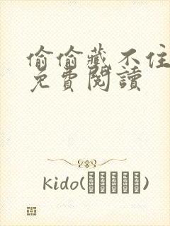 偷偷藏不住小说免费阅读