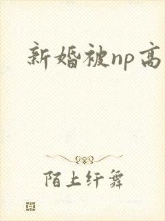 新婚被np高h封面