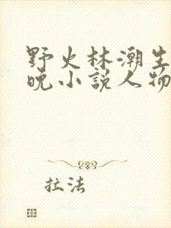 野火林潮生林晚晚小说人物野火
