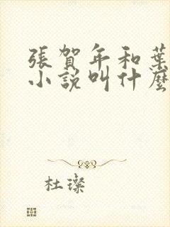 张贺年和叶繁姿小说叫什么名字