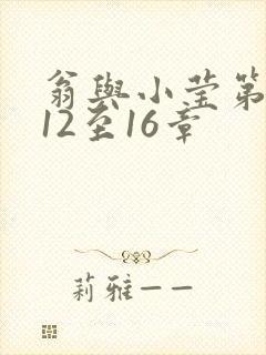 翁与小莹第十部12至16章