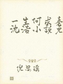 一生何求秦菲雪沈浩小说免费阅读全文封面