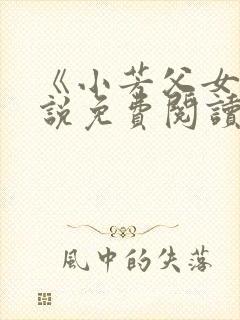 《小芳父女》小说免费阅读封面