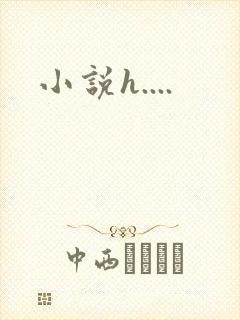 小说h....