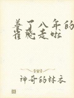 养了八年的金丝雀飞走啦