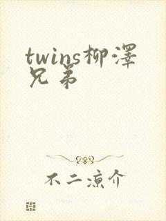 twins柳泽兄弟封面