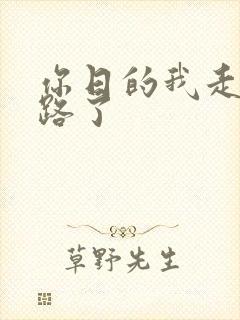 你日的我走不了路了封面