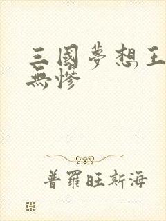三国梦想王元姬无惨