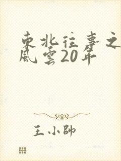 东北往事之黑道风云20年