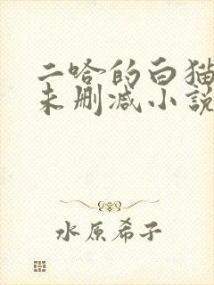 二哈的白猫师尊未删减小说
