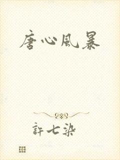 唐心风暴封面