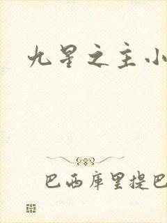 九星之主小说封面