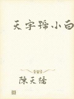天字号小白脸封面