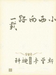 一路向西小说下载
