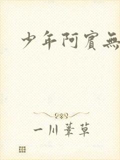 少年阿宾无删减