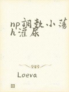 np调教小荡货h灌尿