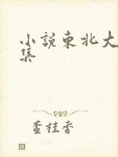 小说东北大炕全集