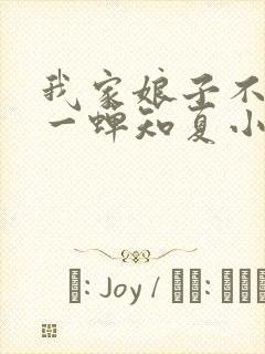 我家娘子不对劲一蝉知夏小说无弹窗