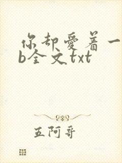 你却爱着一个sb全文txt封面