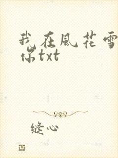 我在风花雪月等你txt