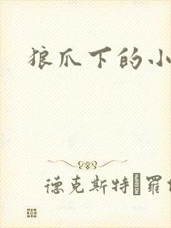 狼爪下的小雏菊