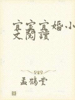 宜室宜婚小说全文阅读