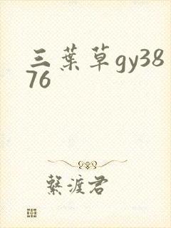 三叶草gy3876封面