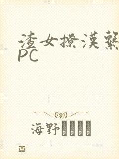 渣女撩汉系统NPC