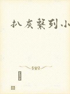 扒灰系列小说封面