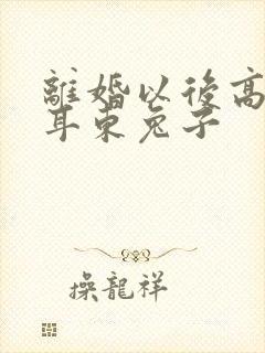 离婚以后高干 耳东兔子封面