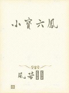 小宝六凤