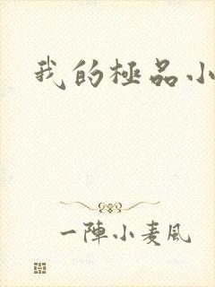 我的极品小姨封面