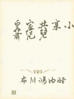 皇家共享小公主萧凭儿封面