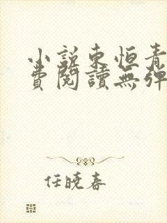 小说东恒青云免费阅读无弹窗