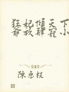 狂妃倾天下:王爷放肆宠小说