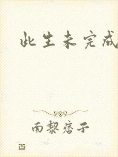 此生未完成封面