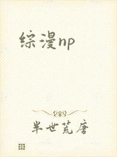 综漫np